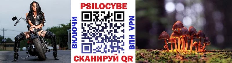 Купить  Валуйки  Галлюциногенные грибы мицелий 